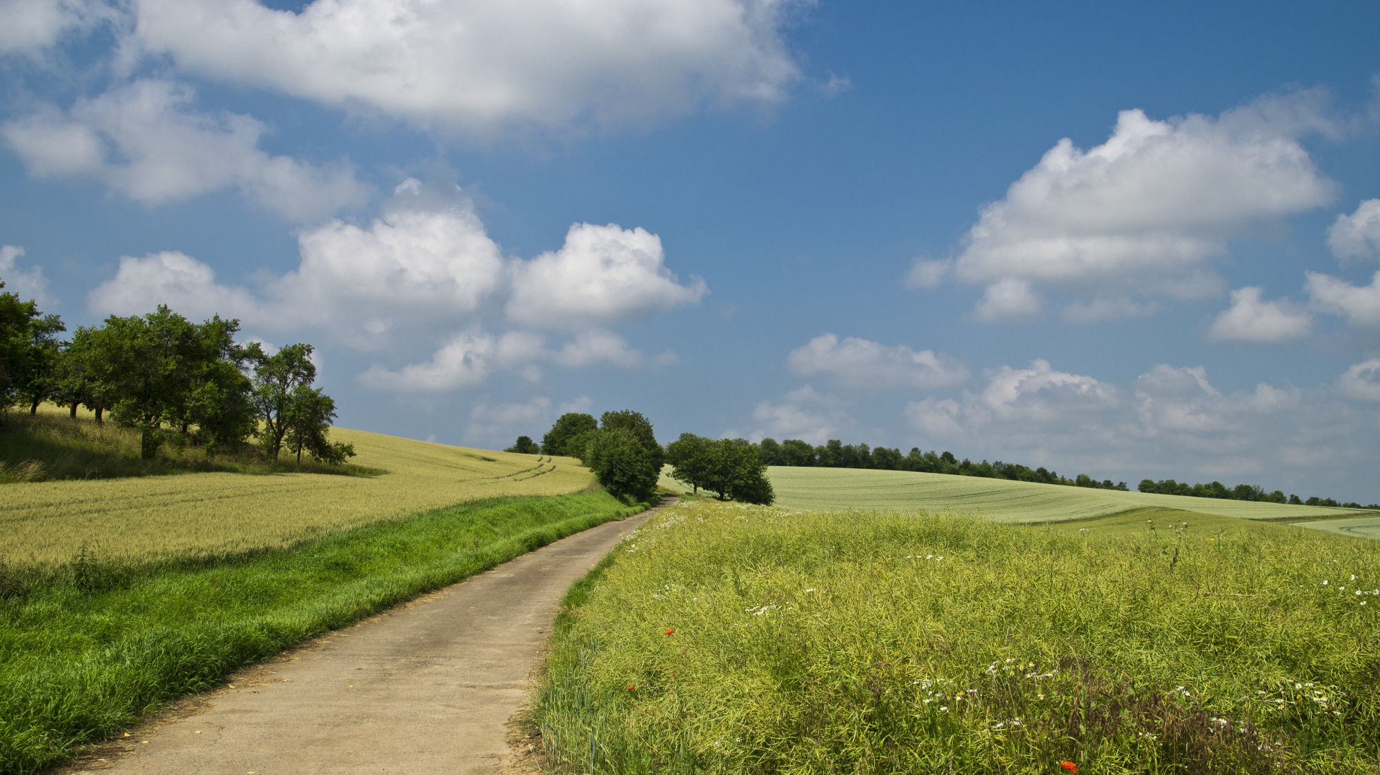 Headerbild